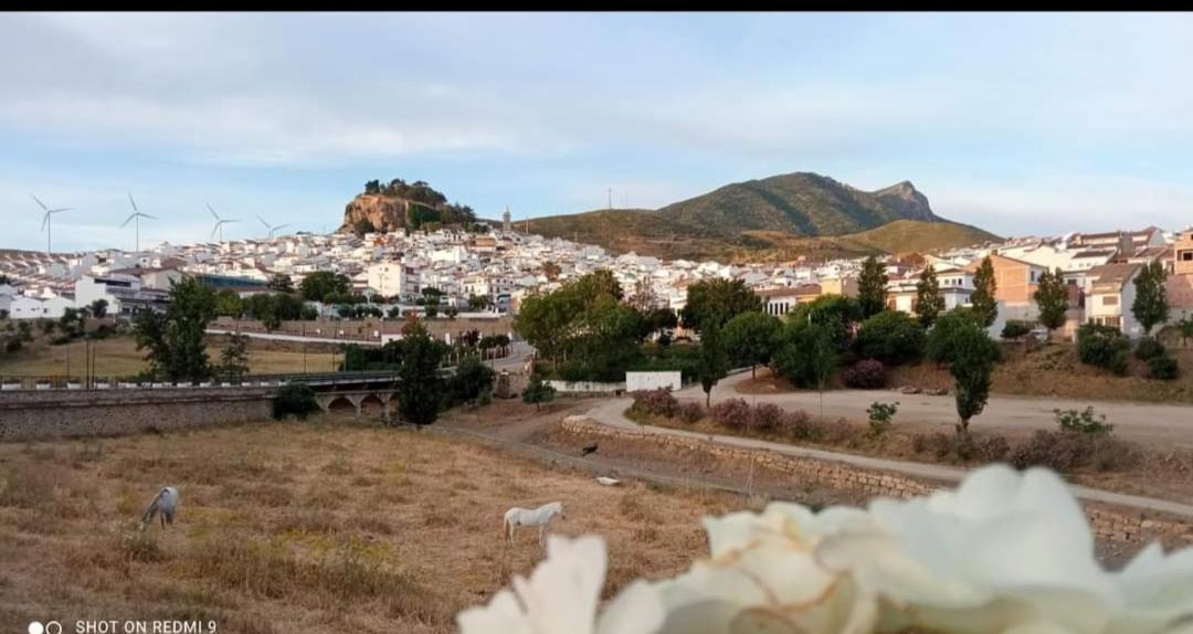 فيلا Casa Margarita أرذاليس المظهر الخارجي الصورة